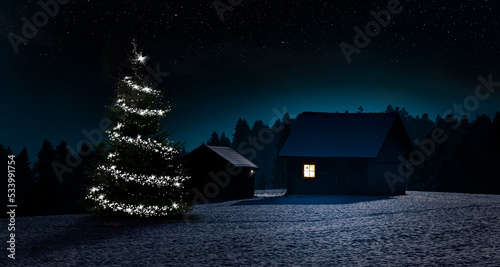 Weihanchtsbaum im Winter in verscheiter Landschaft