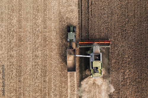 Agriculture: Aerial view directly above the agricultural field during the process of harvesting: combine harvester discharging hoarded wheat grain into trailer mounted to the tractor 