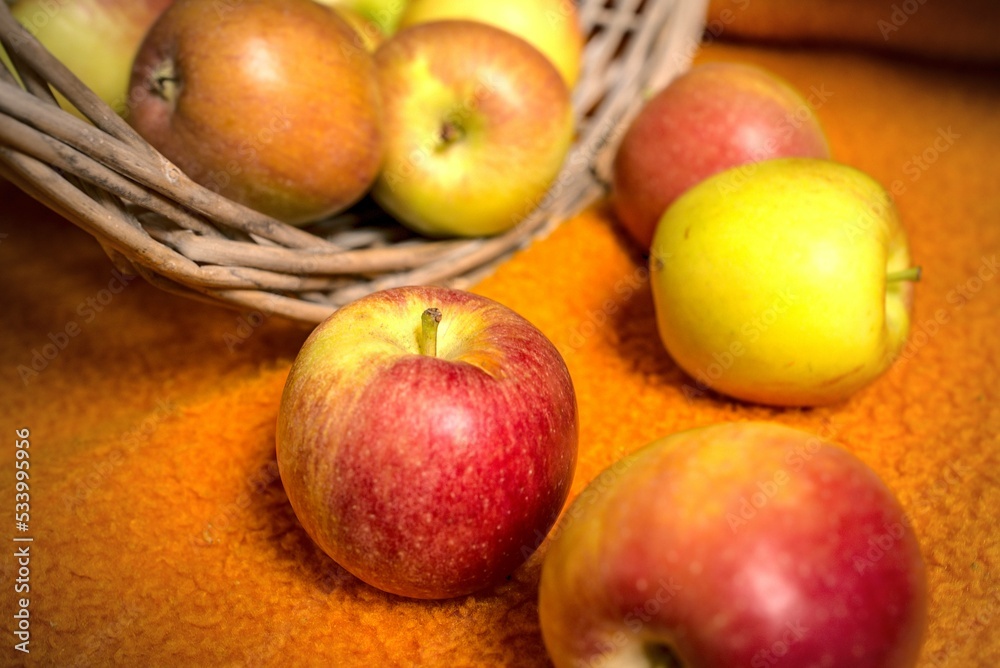 Pommes d'automne bicolores fraîches sur fond orange avec un panier Pommes d'automne bicolores fraîches sur fond orange avec un panier