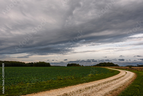 Cloudy beautiful sky over a rural road that goes around a green field with winter rape plants.