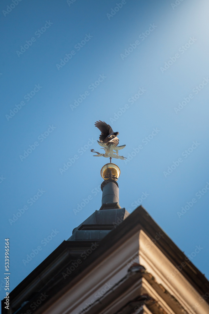 The bird spread its wings on the cross on the church - a religious symbol in the light of the sky