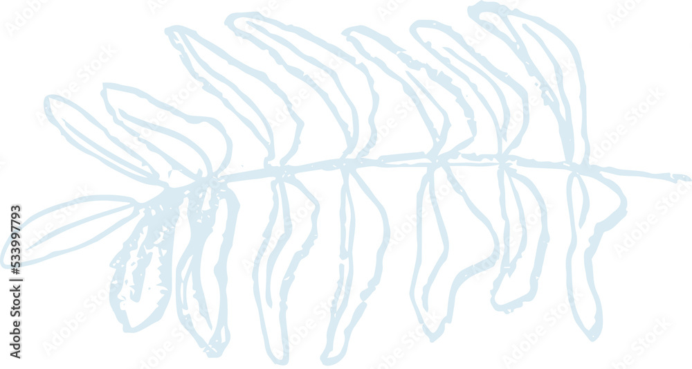 Fototapeta premium Chalk imprints of fossil skeletons of prehistoric plants ginkgo, fern, seaweed, alga. Gray archeology fragments. Set of realistic hand drawn sketch art. PNG illustration