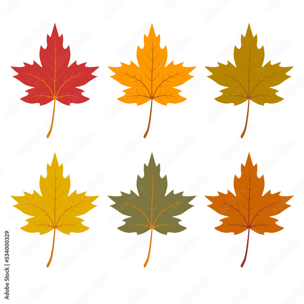 Set of autumn maple leaves, isolated on white background. Set of autumn maple leaves, isolated on white background.