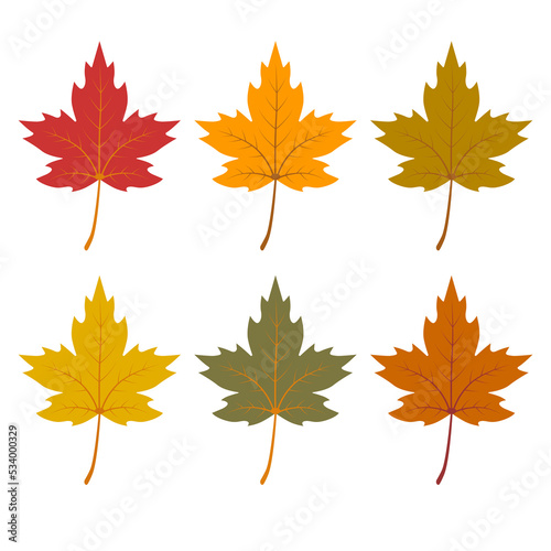 Set of autumn maple leaves  isolated on white background.
