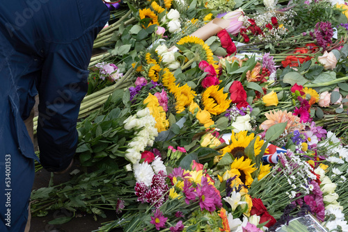 A woman s hand lays flowers at the gates of Windsor Castle in tribute to Queen Elizabeth II after her death on September 8  2022. Focus on the yellow flowers