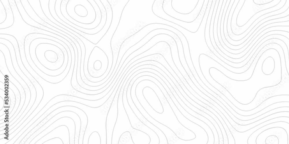 Abstract topographic contours map background .Topographic background and texture, monochrome image. Topography and geography map grid abstract backdrop. Business concept. Fish Fillet Texture .