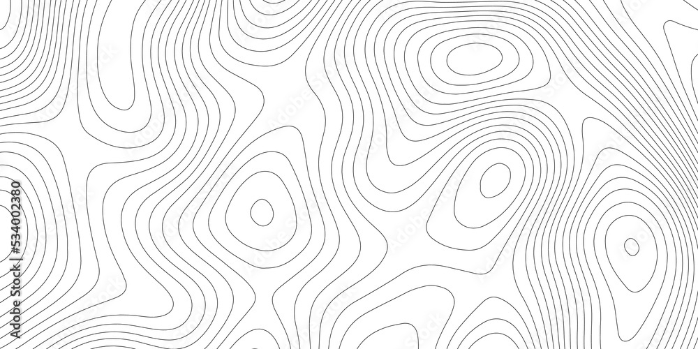 Abstract topographic contours map background .Topographic background and texture, monochrome image. Topography and geography map grid abstract backdrop. Business concept. Fish Fillet Texture .