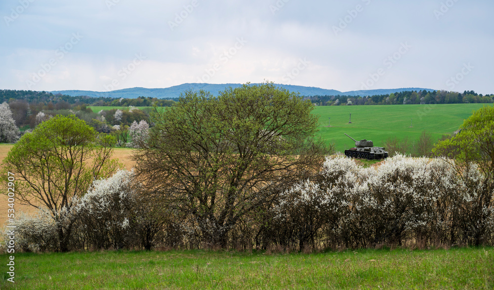 Obraz premium Green meadows, spring forests and Russian tank.