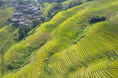 Dragon terraced fields in Guilin Guangxi China