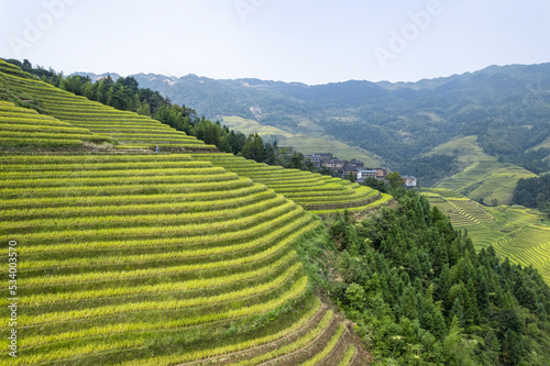 Dragon terraced fields in Guilin Guangxi China