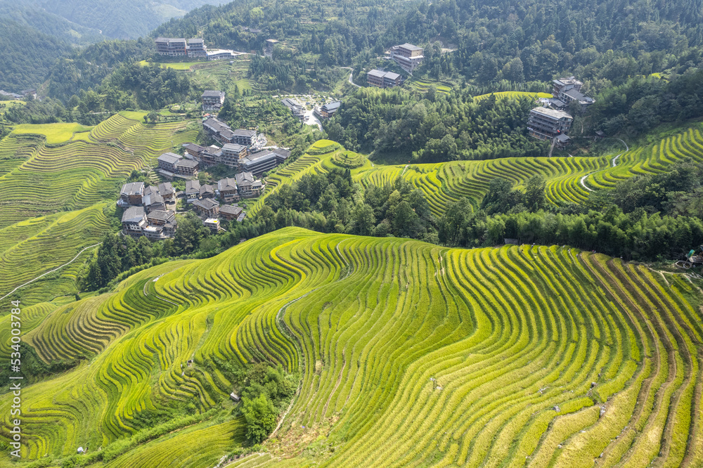 Dragon terraced fields in Guilin Guangxi China Dragon terraced fields in Guilin Guangxi China