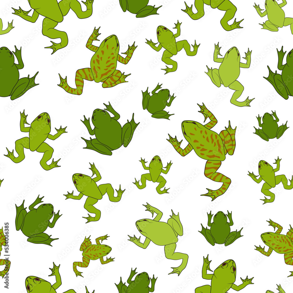 Naklejka premium Seamless pattern with green river frogs. Colored vector background on white.