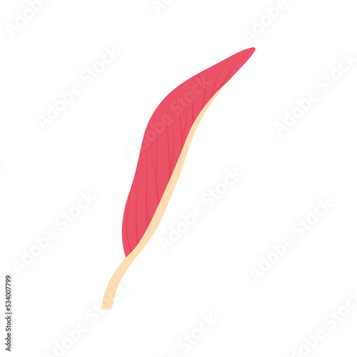 Section of muscle. Muscle flat symbol. Collection of muscle and anatomy stock symbol for web.