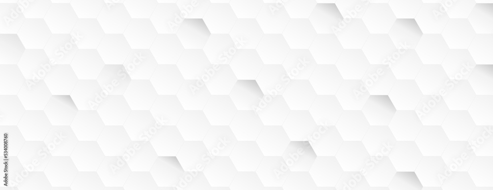 Fototapeta premium light shade gray technology white abstract wide design of rectangle hexagon pattern artwork creative background