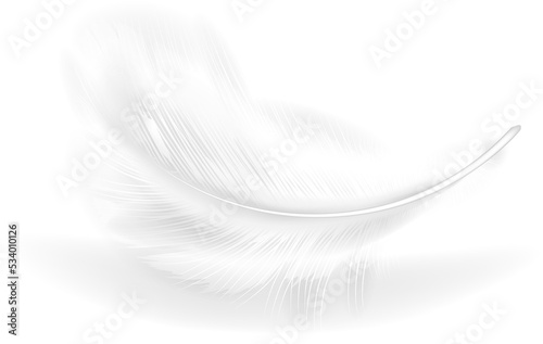 Feather realistic