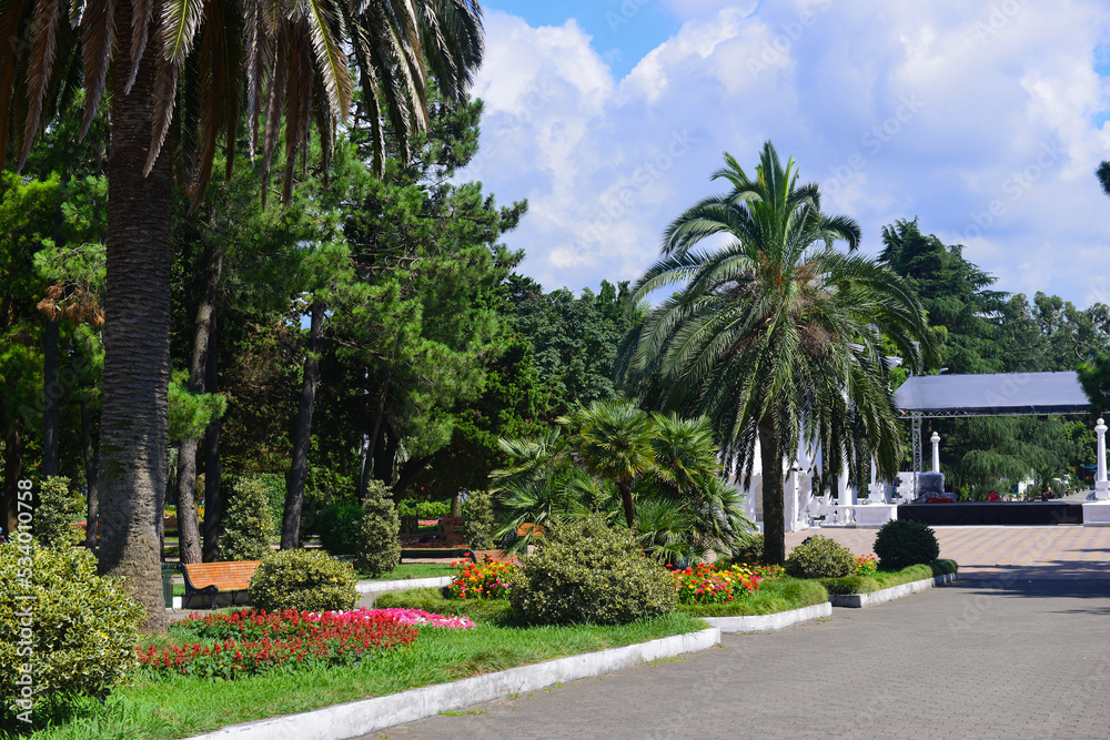 Palm trees and colorful flowerbeds in the park