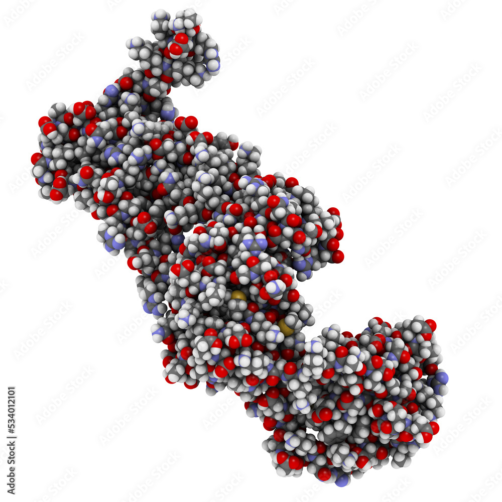 cardiac troponin core domain, chemical structure. cardiac troponin core domain, chemical structure.