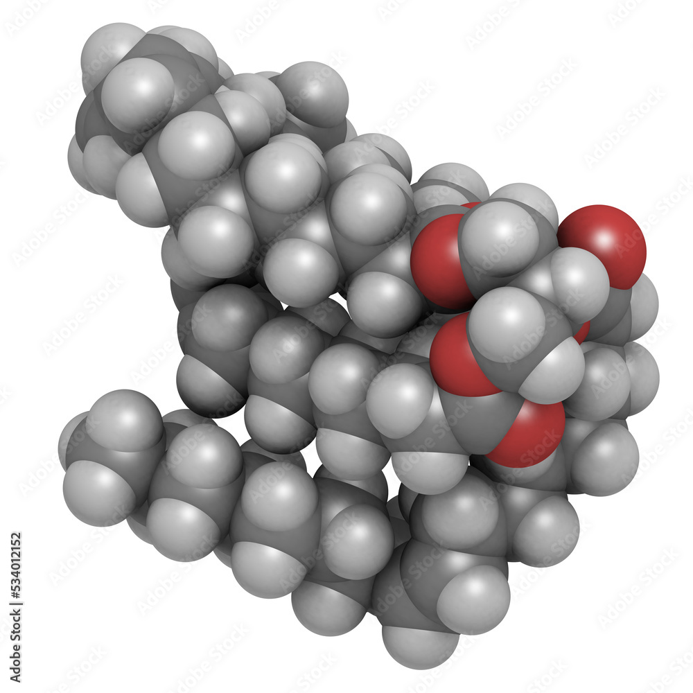 Vegetable oil unsaturated triglyceride molecule