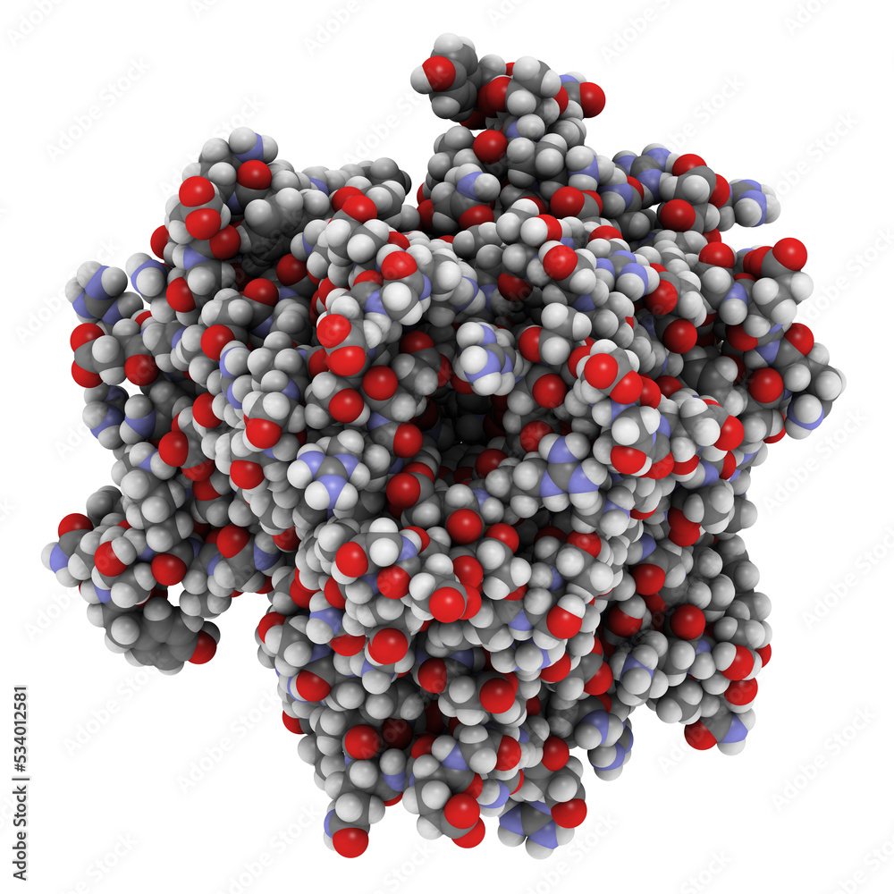 Tumor necrosis factor (TNF, cachexin, cachectin), chemical structure
