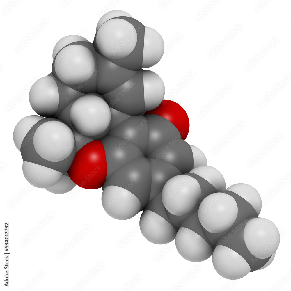 THC (delta-9-tetrahydrocannabinol, dronabinol) cannabis drug molecule. 3D rendering. THC (delta-9-tetrahydrocannabinol, dronabinol) cannabis drug molecule. 3D rendering.