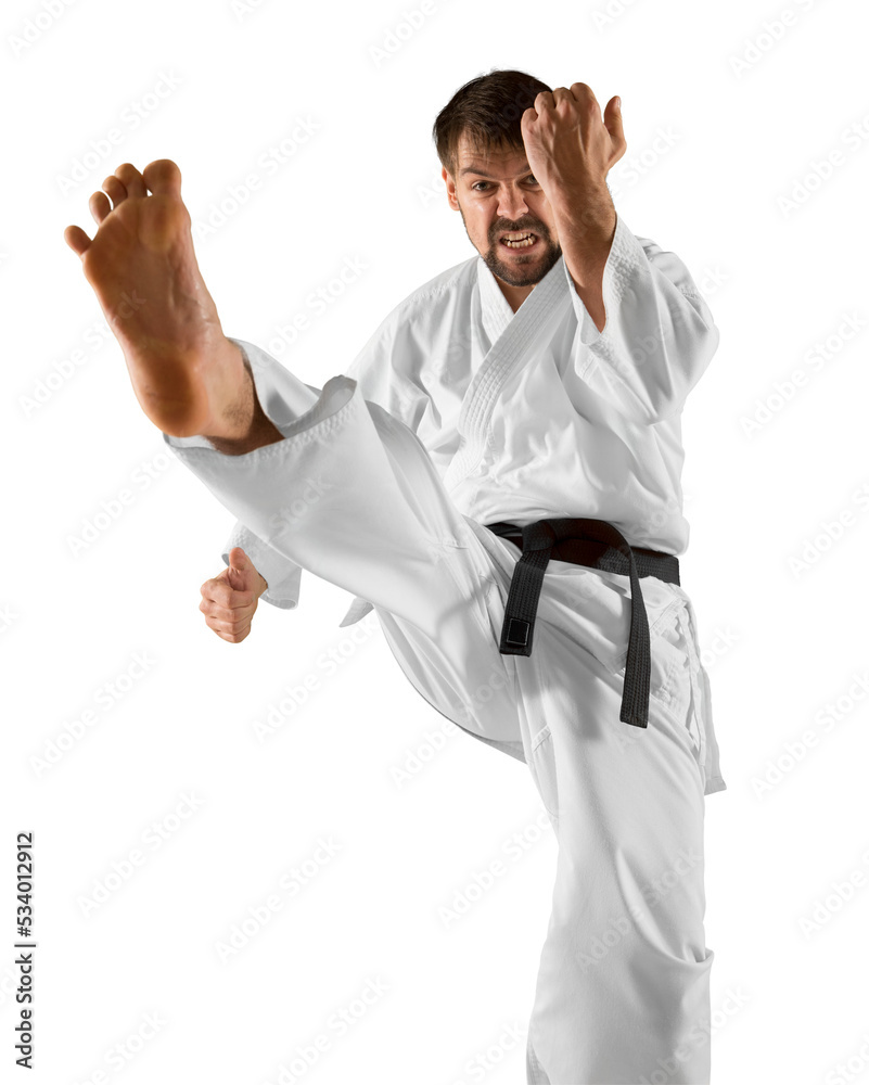 Martial arts masters. Isolated background Martial arts masters. Isolated background