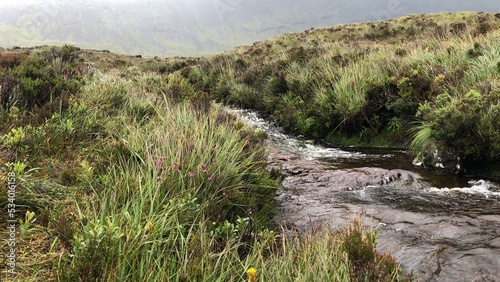 Stream Misty Landscape