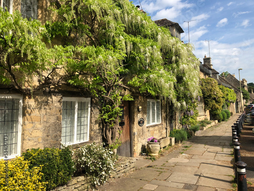 plant cottage village
