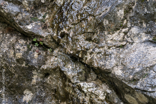 closeup two different stones rock wall background