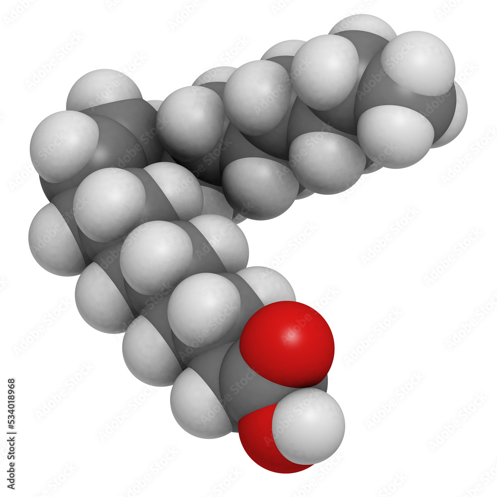 Oleic acid omega9 fatty acid, molecular model Stock Illustration