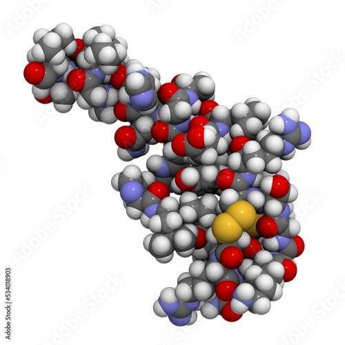 Orexin-A (hypocretin-1) neuropeptide molecule, chemical structure photo