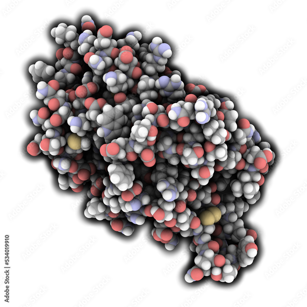 Interleukin 6 (IL-6) molecule, chemical structure Interleukin 6 (IL-6) molecule, chemical structure