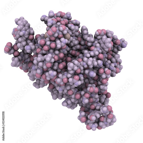 Wallpaper Mural Interleukin 6 (IL-6) molecule, chemical structure Torontodigital.ca