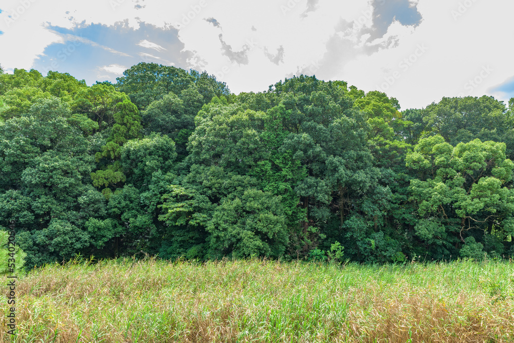 Ichinoyama Kofun of the World Heritage Site