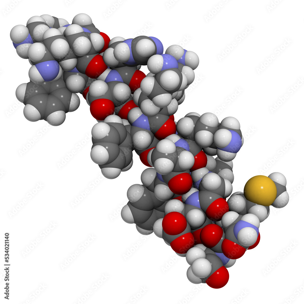Magainin 2 antimicrobial peptide, chemical structure. Magainin 2 is a peptide found in frog skin that protects against wound infections. Magainin 2 antimicrobial peptide, chemical structure. Magainin 2 is a peptide found in frog skin that protects against wound infections.