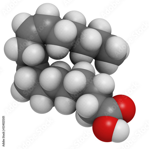 Omega-6 unsaturated fatty acid  linoleic acid  LA   molecular model.