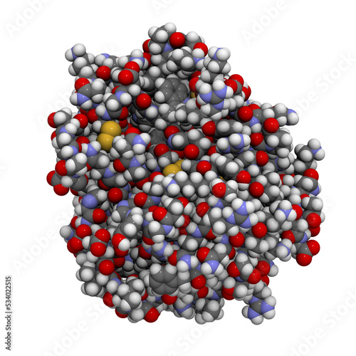 Trypsin enzyme molecule, chemical structure.