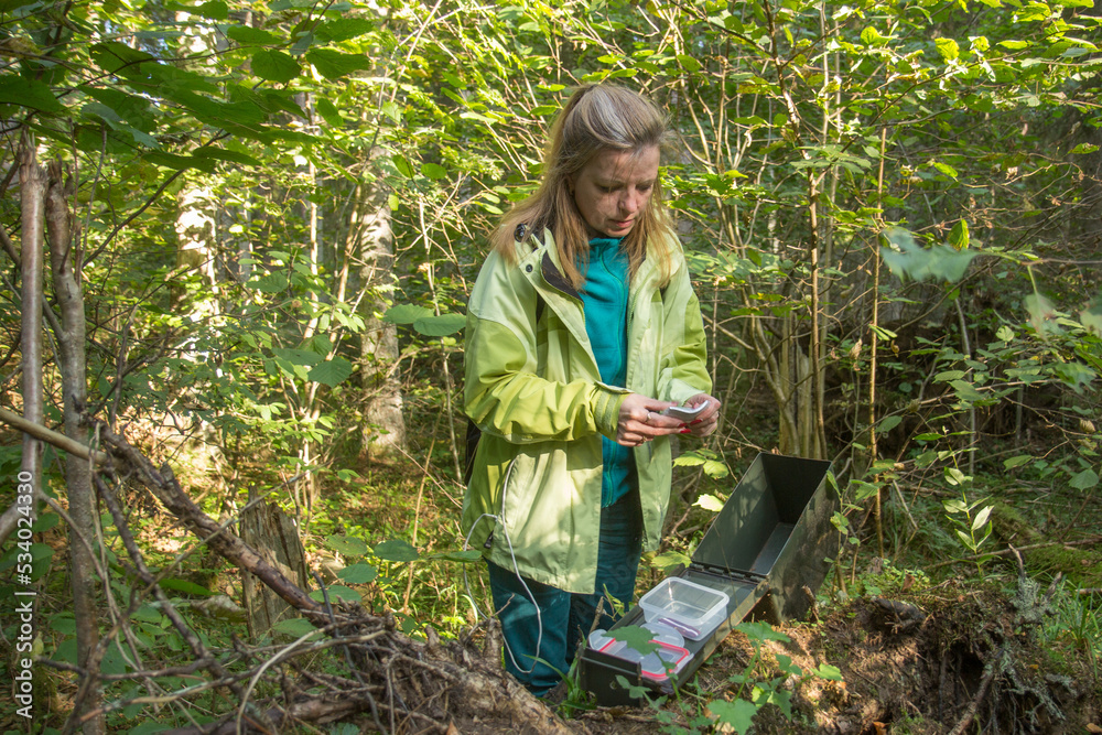 A woman with her mobile phone in the forest. Playing geocaching. A woman with her mobile phone in the forest. Playing geocaching.