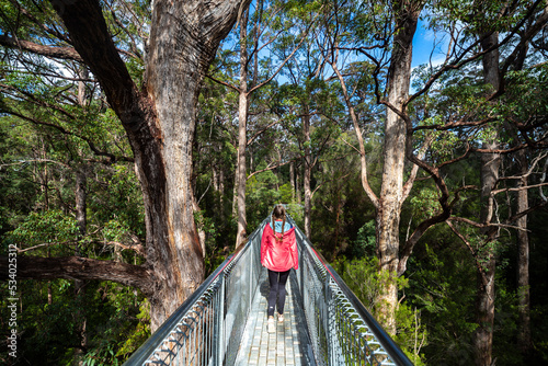 girl with ponytails admires nature walking on a bridge among the treetops; valley of the giants, western australia