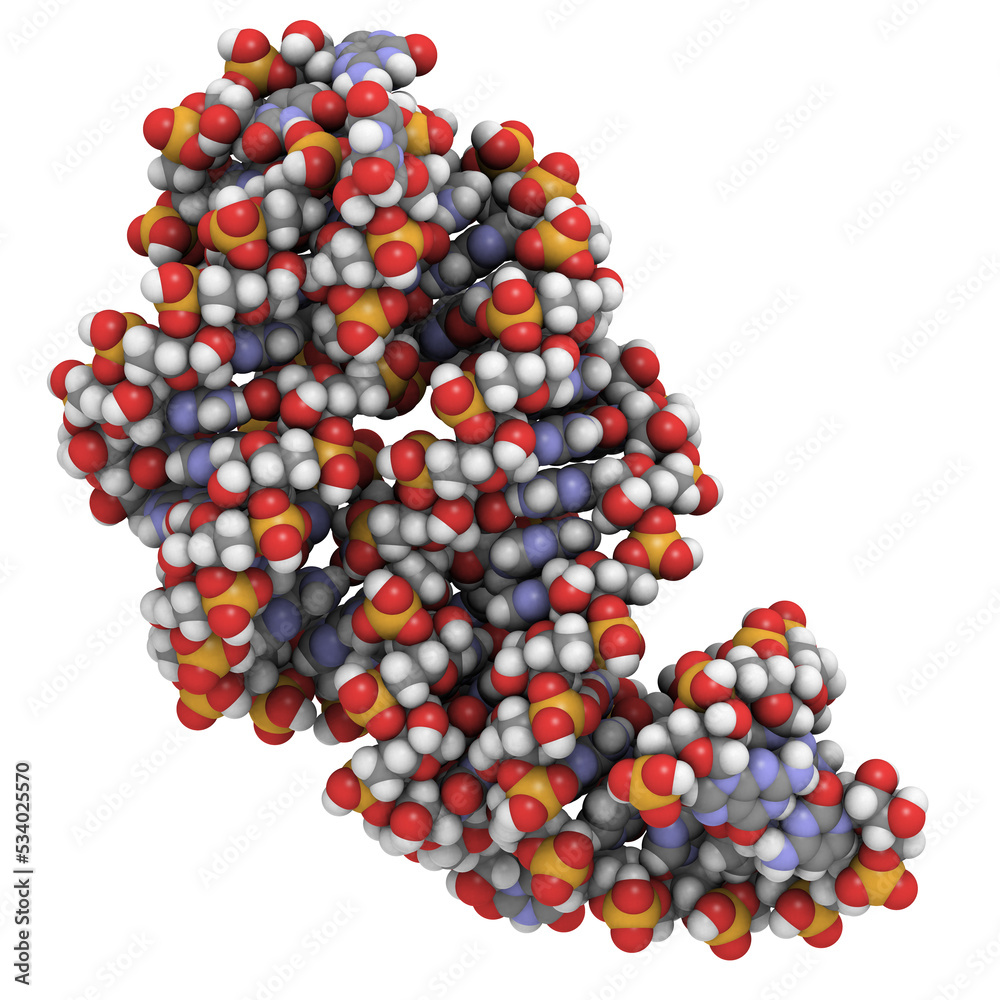 Riboswitch RNA molecule Chemical structure of a bacterial guanine