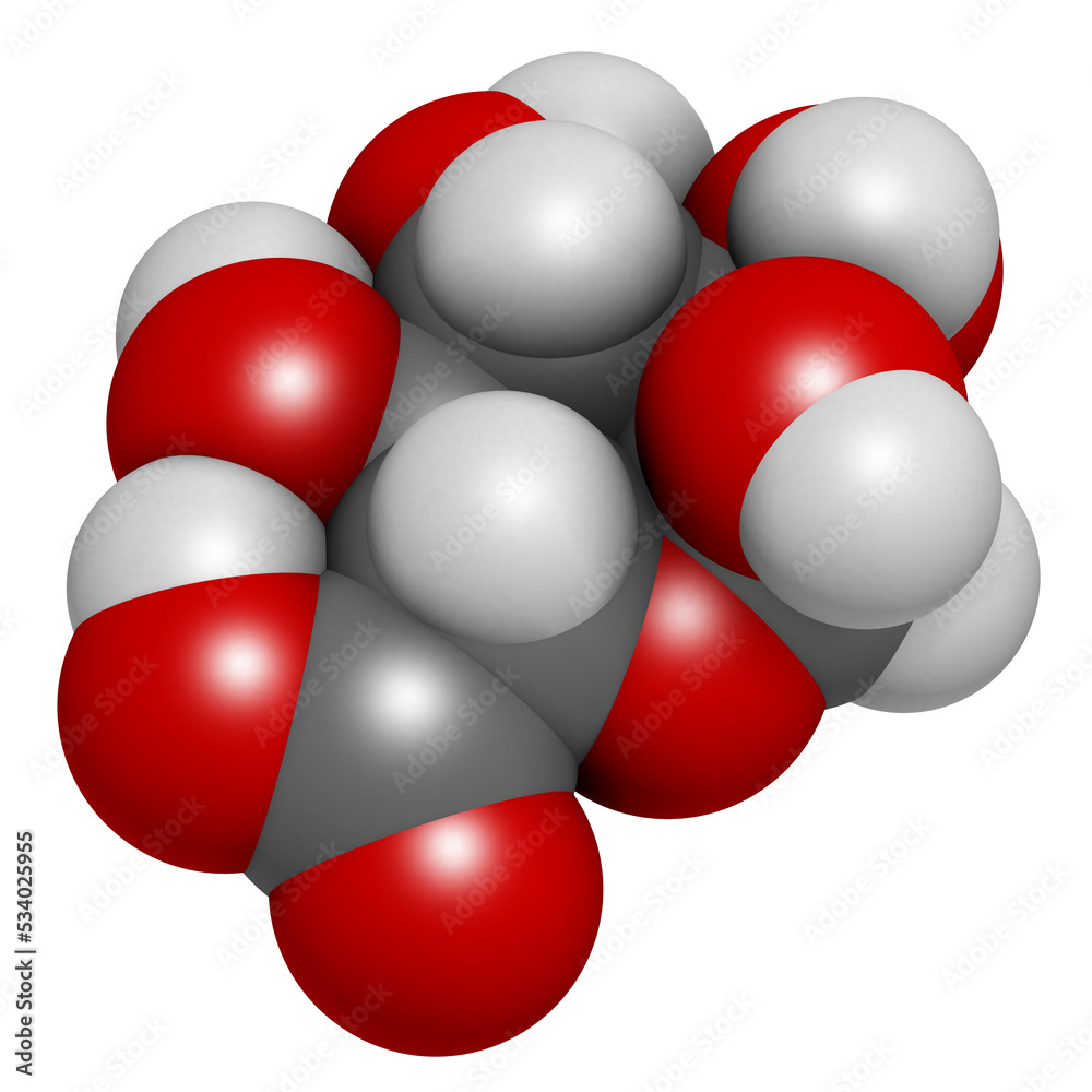 Glucuronic acid molecule. Glucuronidation of xenobiotics plays role in drug metabolism, giving glucuronides. Glucuronic acid molecule. Glucuronidation of xenobiotics plays role in drug metabolism, giving glucuronides.