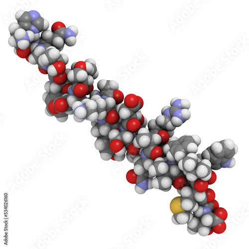 Glucagon peptide hormone molecule  chemical structure