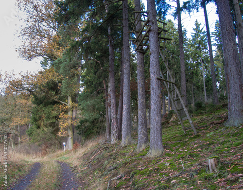 Hochsitz am Waldrand im Gelängebachtal, Medebach, Hochsauerland