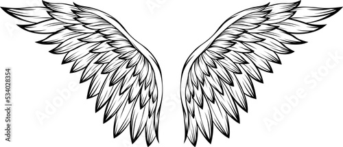 Bird wings vector illustration tattoo style. Hand drawn design element.