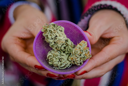 Sao Paulo, SP, Brazil - November 25 2022: Caucasian hands holding gourd with cannabis flower details.