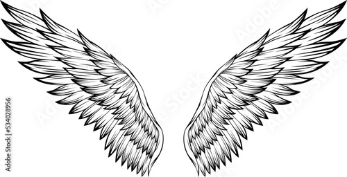 Bird wings vector illustration tattoo style. Hand drawn design element.