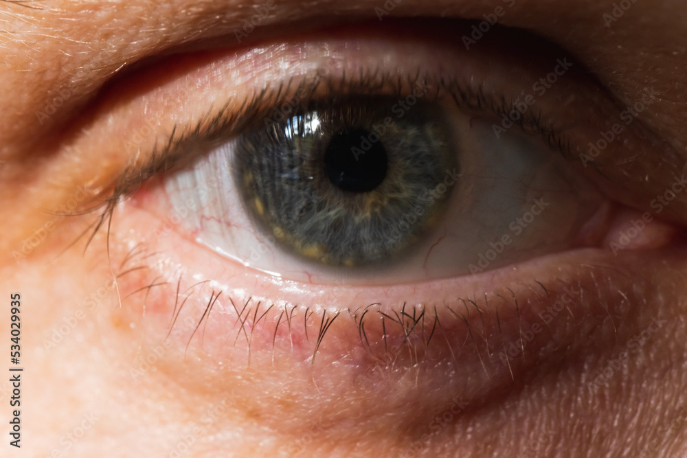 Fototapeta premium Close-up studio photo of gray male eye