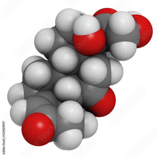 cortisone stress hormone  molecular model