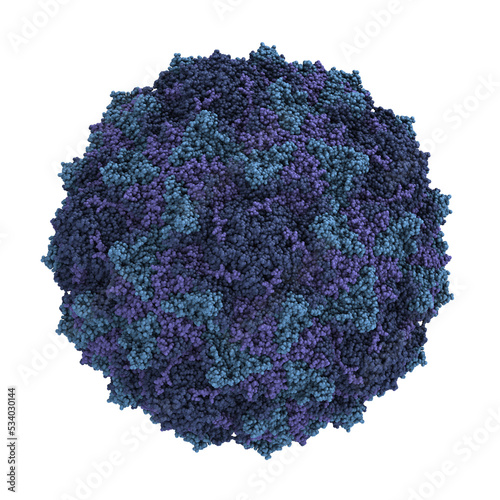 Coxsackievirus A21. Coxsackieviruses can cause meningitis, hand, foot and mouth disease, etc. Atomic-level structure. photo
