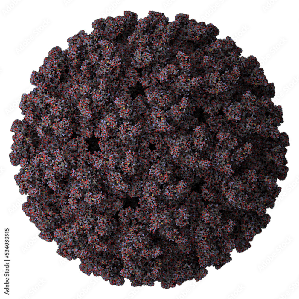 Contraindications & When to Consult a Doctor