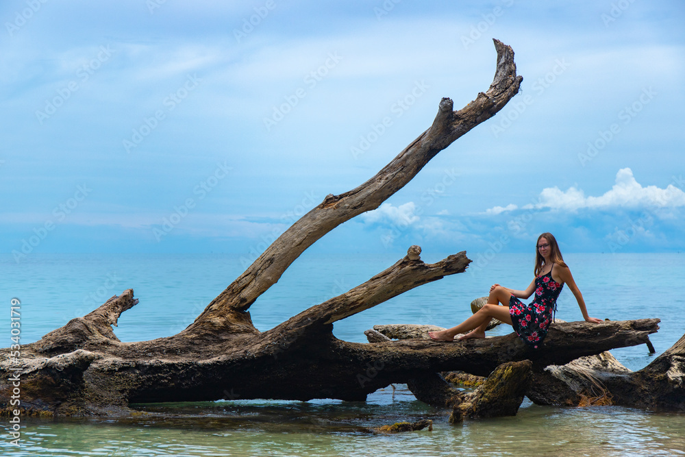 girl in a dress sits on an overturned tree on a paradisiacal tropical beach in costa rica